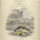 Illustration for article titled Natural History of Fishes of the Perch Family